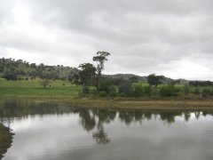 TP 3 July 2014.JPG